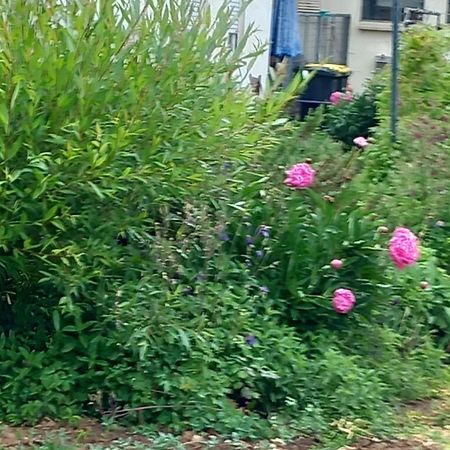 Kirchheim am NeckarAussichtsreichアパートメント エクステリア 写真